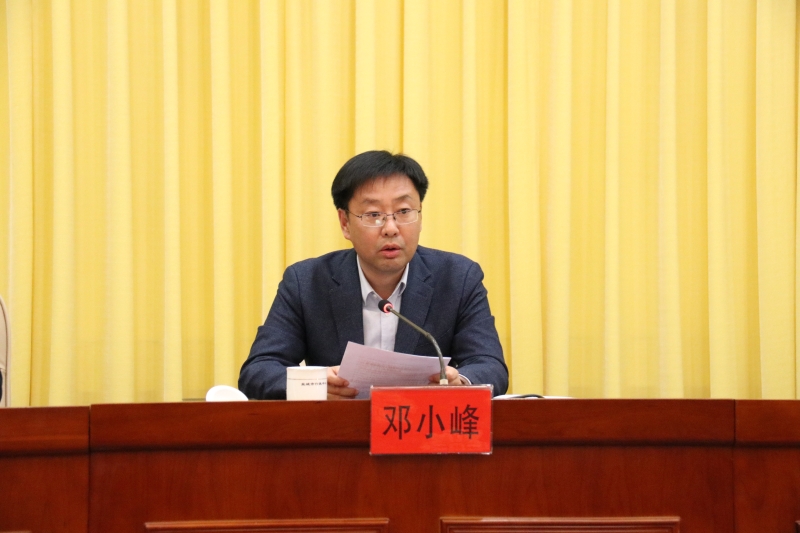 市委台办主任羊维元作工作报告.