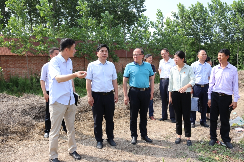 市委台办主任羊维元赴帮促挂钩村调研